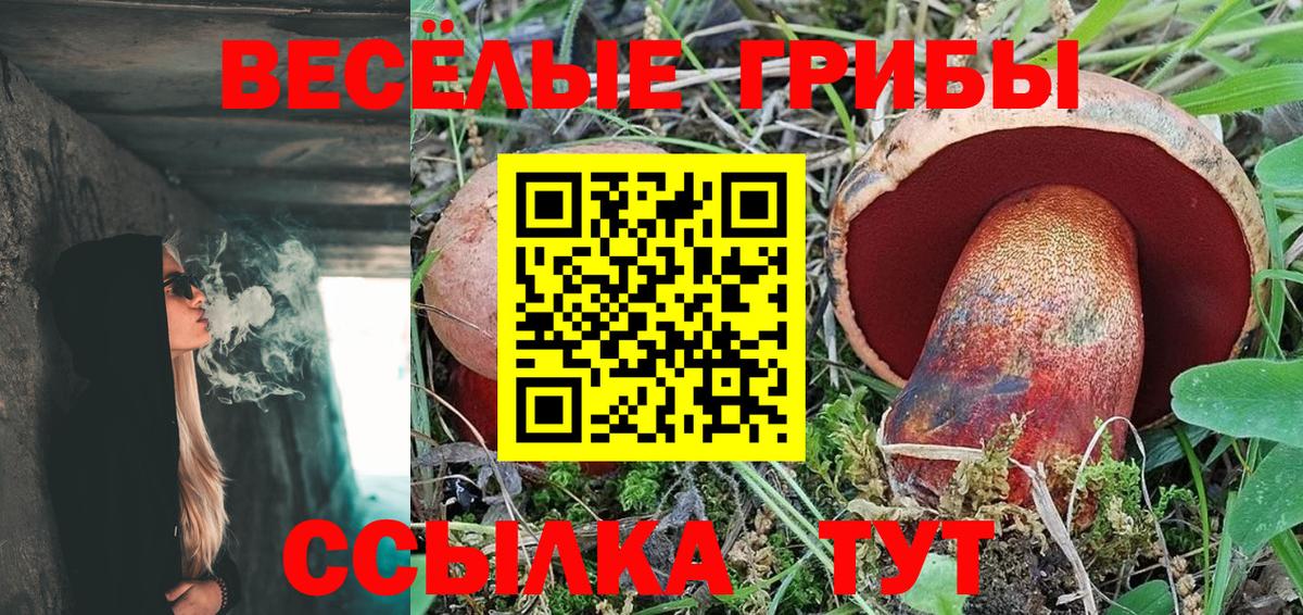 Рыбинск  Псилоцибиновые грибы Cubensis  Вход с VPN 
